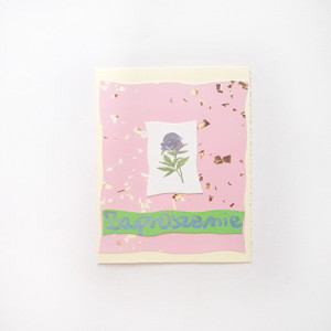 pastelowe zaproszenie na różne okazje,  ogólne zaproszenie, proste zaproszenie na imprezę, puste zaproszenia, ładne zaproszenia, ogólne zaproszenia