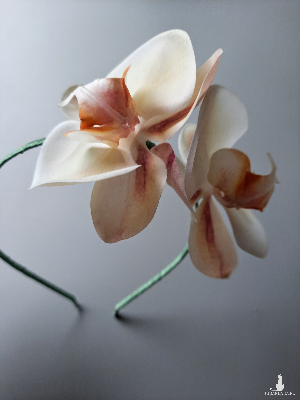 Opaska do włosów Kremowe orchidei