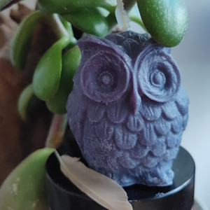 Świeca sojowa mała sowa