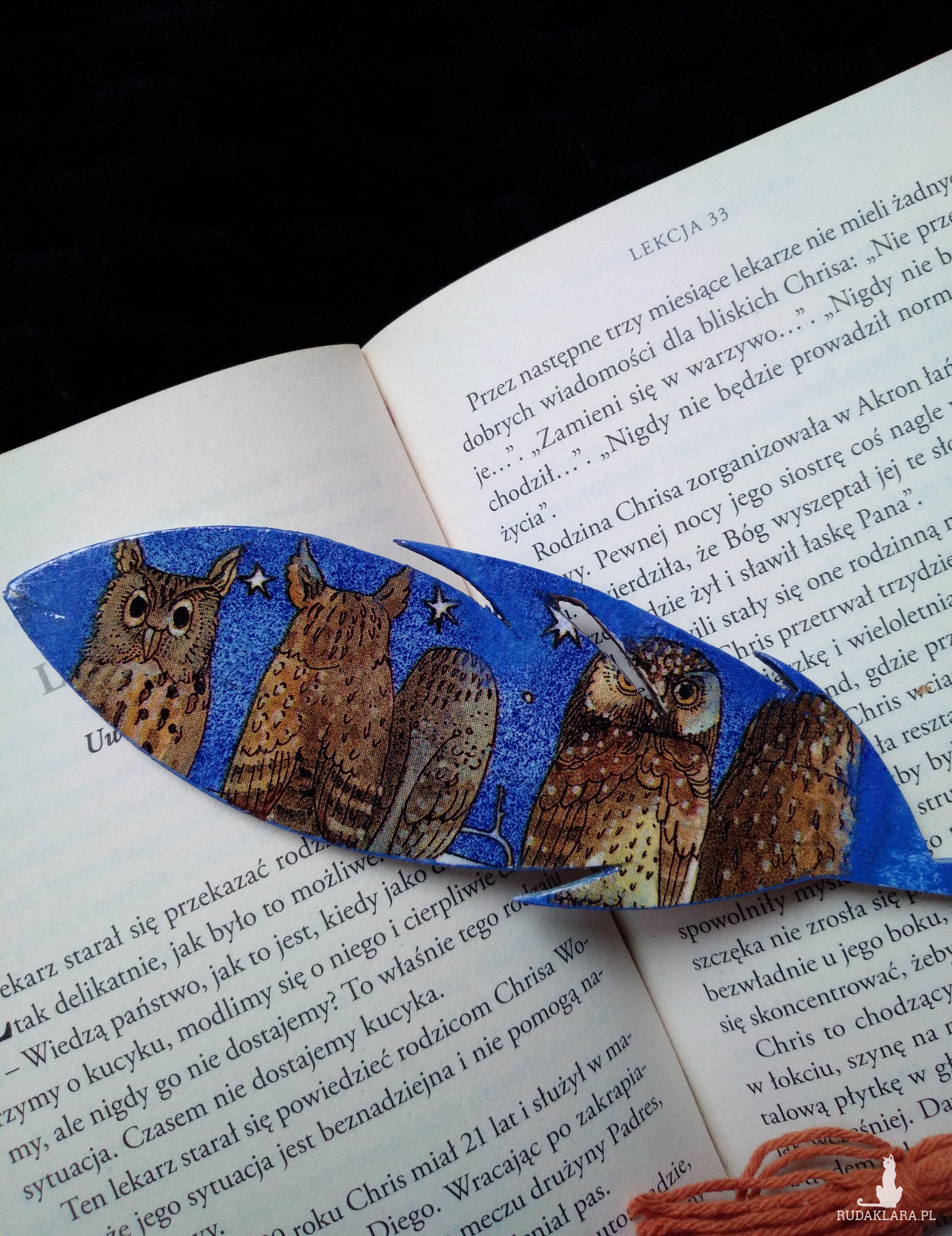 Drewniana zakładka do książki ptasie pióro piórko sowy sówki ptaki nocą decoupage