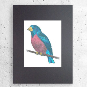 ptaszek obrazek A4, vintage obrazek z ptaszkiem, retro plakat A4, mały plakat do domu, zwierzęta obraz 21x30, plakat z ptakiem, retro grafika na ścianę