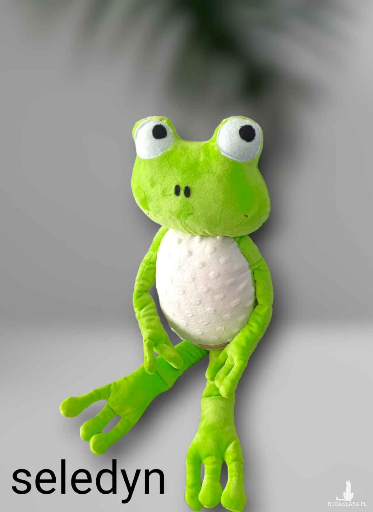 Zielona żabka