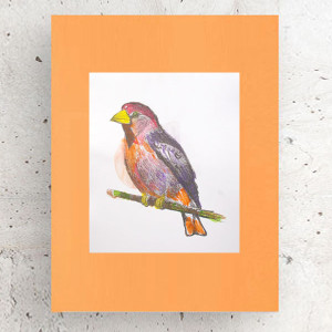 retro plakat A3, vintage grafika na ścianę, 30x40 obrazek z ptaszkiem, ptaszek plakat do domu, retro obrazek zwierzęta, kolorowy plakat z ptaszkiem, boho dekoracja do domu