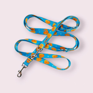 Smycz przepinana - ser