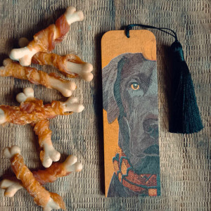 Zakładka do książki Pieseł 1