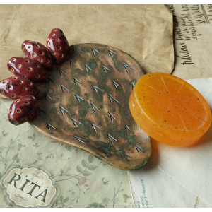 Opuncja figowa podstawek/mydelniczka