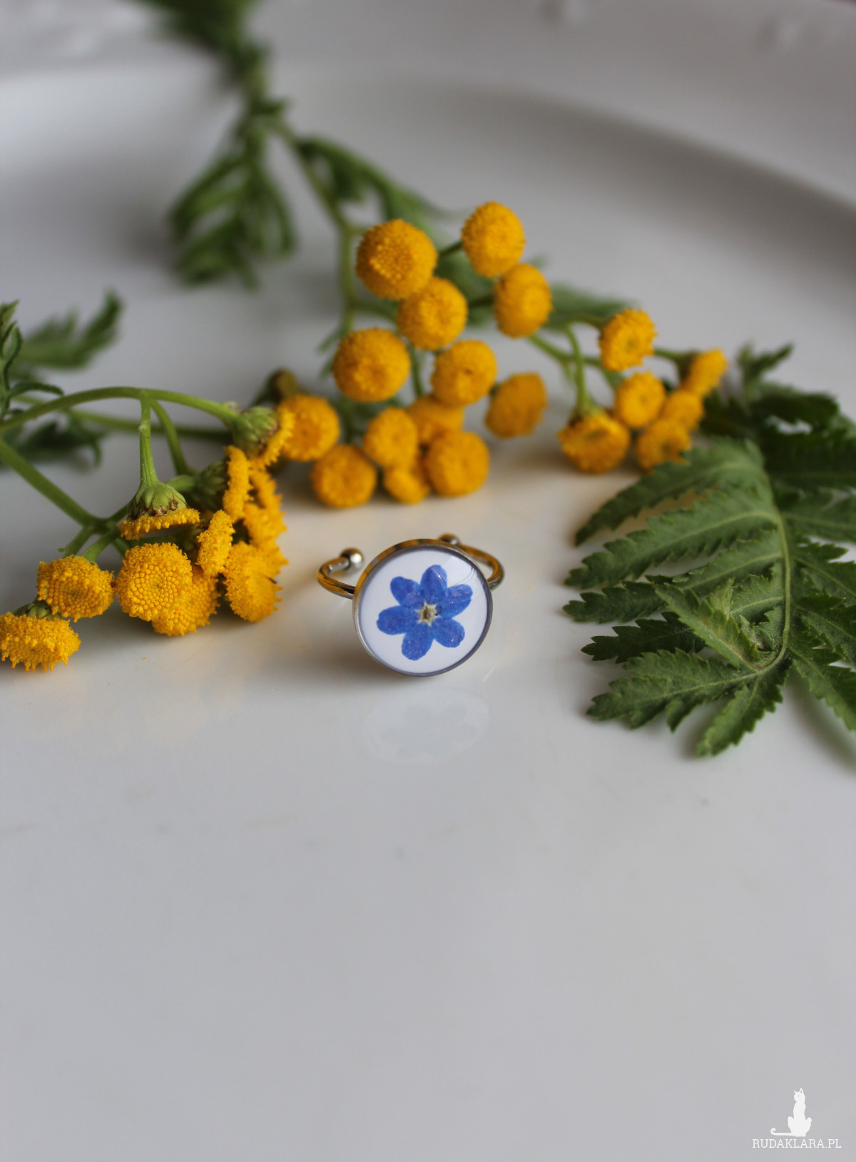 Srebrny pierścionek regulowany kwiaty z kwiatami kwiatem niezapominajki niezapominajkami niezapominajką suszone kwiaty żywica