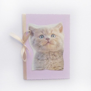 kotek kartka, kartka z kotkiem, kot kartka, pastelowa kartka z kotem, koty kartki, zwierzęta kartki, kartka dla dziewczynki, kartka dla dziewczyny, kartka dla kobiety