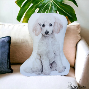 Poduszka piesek poduszka z pieskiem przytulanka piesek maskotka pudel