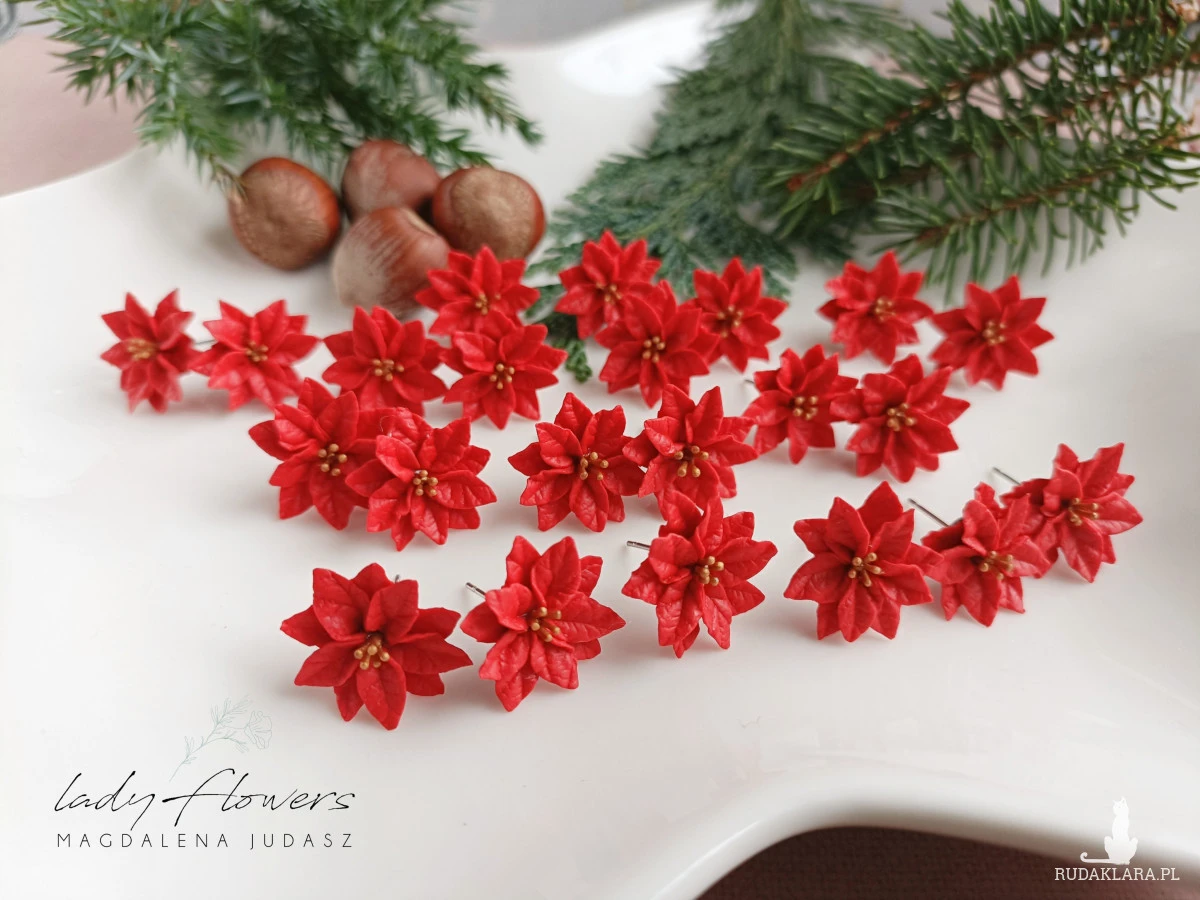 Kolczyki z poisencją