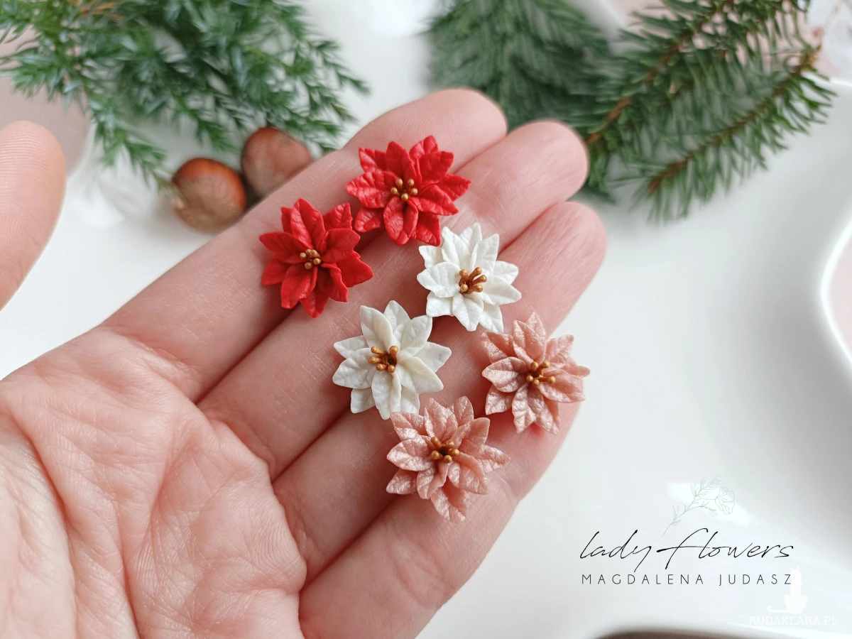 Kolczyki z poisencją