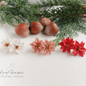 Kolczyki z poisencją