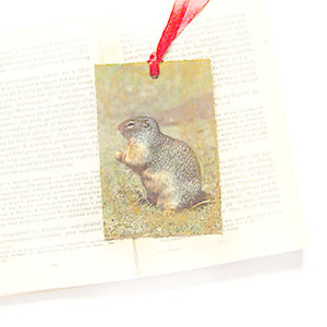 zwierzęta zakładka do książki, shabby chic zakładka, vintage zakładka, zoo zakładka do książek, zakładka ze zwierzętami