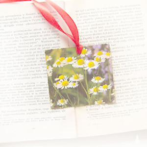 przyroda zakładka do książki, mała zakładka, kwiaty zakładka do książek, vintage zakładka do książek, las zakladka do książek