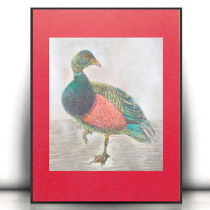 vintage plakat A4, retro plakat A4, ptaszek obrazek 21x30, ptaszek plakat do domu, mały obraz z ptaszkiem, shabby chic plakat z ptaszkiem, zwierzęta plakat 21x30