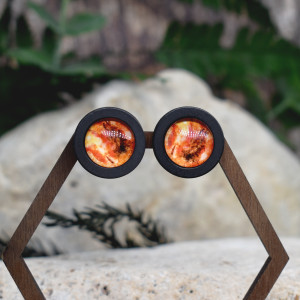 Drewniane kolczyki sztyfty z kaboszonami z grafiką - Mars #177