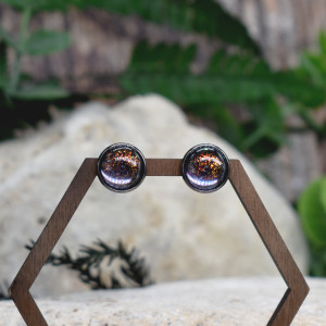 Stalowe kolczyki wkrętki kameleon #192