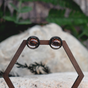 Stalowe kolczyki wkrętki kameleon #250