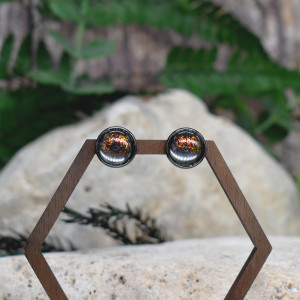 Stalowe kolczyki wkrętki kameleon #267