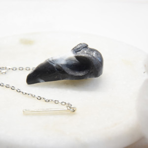 Zakładka do książki Ptasia Czaszka