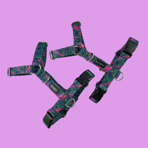 Szelki guard M - Pawie oczko