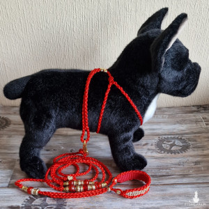 Komplet szelki+smycz, dla małych ras, smycz dla psa,