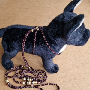 Komplet szelki+smycz, dla małych ras, smycz dla psa,