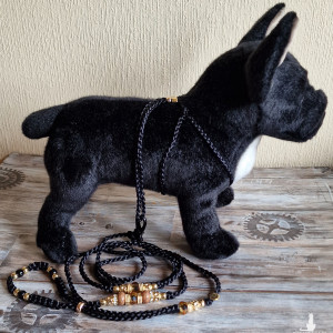 Komplet szelki+smycz, dla małych ras, smycz dla psa,