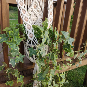 Kwietnik w stylu Boho