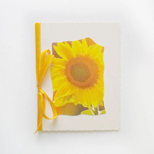 słoneczniki kartka, kartka ze słonecznikiem, kwiat kartka, kartka z kwiatkiem, kartka dla dziewczyny, kartka dla chłopaka, kartki na różne okazje, uniwersalna kartka bez życzeń