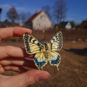 Ręcznie wykonana broszka w kształcie motyla paź królowej, idealny prezent dla miłośników owadów