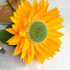 Słonecznik (rozmiar L)