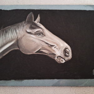 Ręcznie Wykonany Grafitowy Rysunek Konia Angielskiej Rasy Ciepłokrwistej