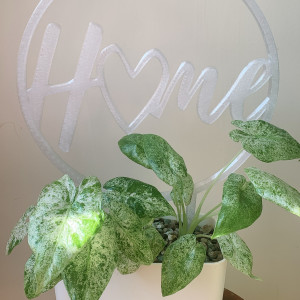 Podpórka do roślin Home