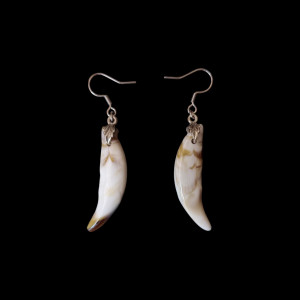 Kolczyki repliki kłów wilka