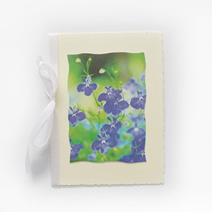 kartka z łąką, fioletowe kwiatki kartka, łąka kartka bez życzeń, kartka bez tekstu, kartki na różne okazje, kartka z kwiatkami, kartka z ogrodem