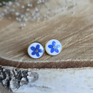 Złote kolczyki z niezapominajkami kwiatami małe wkręty sztyfty z żywicy żywica epoksydowa z suszonymi prawdziwymi kwiatami niezapominajki
