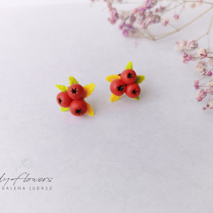 Kolczyki z jarzębiną