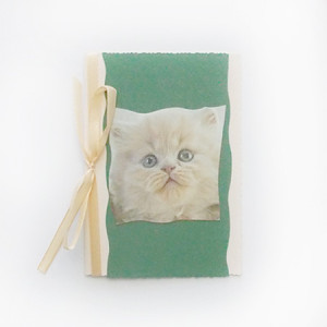 kot kartka, kartka z kotem, zwierzęta kartki, koty kartki, kotek kartka, kartka z kotkiem, kartka dla dziewczynki, kartka dla dziewczyny