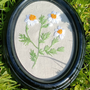 Haftowany obraz rumianek