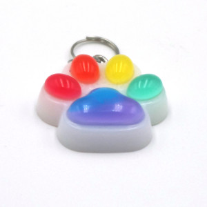 Zawieszka tęczowa dla psa/kota