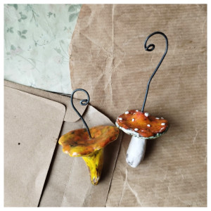 Grzybki w pomarańczowej tonacji