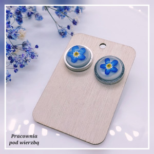 Kolczyki małe wkrętki niezapominajki prawdziwe kwiaty niebieskie stal