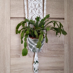 Kwietnik lub lampion