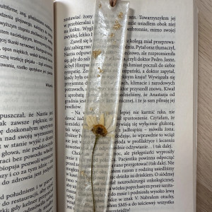 Ręcznie robiona zakładka do ksiązki z żywicy oraz suszonego rumianku