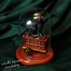 Czarny kot na szęście