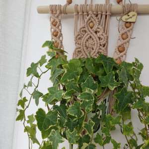 Kwietnik w stylu Boho