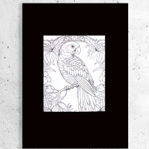 biało czarny plakat A4, czarno biały plakat z ptaszkiem, biało czarny obrazek z ptaszkiem, papuga plakat A4, ptaszek plakat A4, biało czarny plakat na ścianę, mały plakat do domu