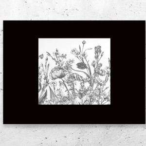 czarno biały plakat na ścianę, botaniczny plakat A4, mały plakat do domu, łąka plakat do sypialni, skandynawski plakat do biura, mały obrazek do salonu, czarno biało obrazek A4