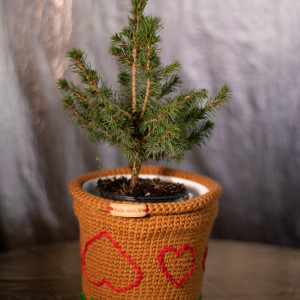 Doniczka All You Need is Love